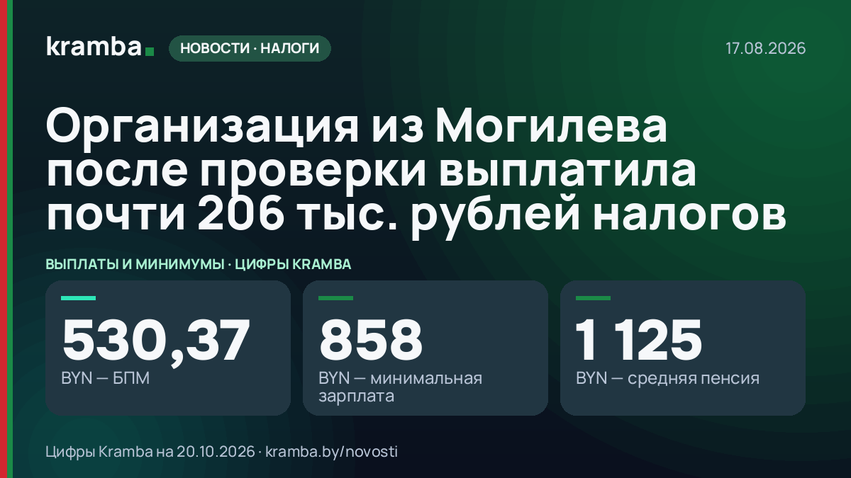 Инфографика Kramba: Организация из Могилева после проверки выплатила почти 206 тыс. рублей налогов