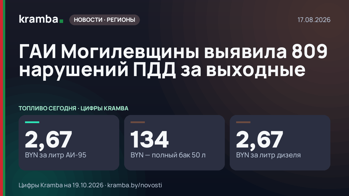 Инфографика Kramba: ГАИ Могилевщины выявила 809 нарушений ПДД за выходные