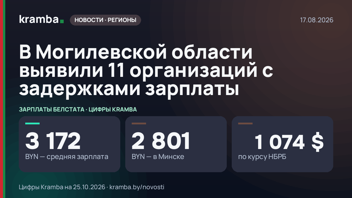 Инфографика Kramba: В Могилевской области выявили 11 организаций с задержками зарплаты