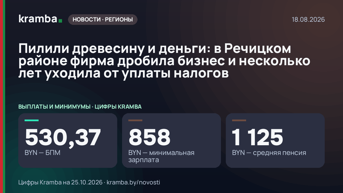 Инфографика Kramba: Пилили древесину и деньги: в Речицком районе фирма дробила бизнес и несколько лет…