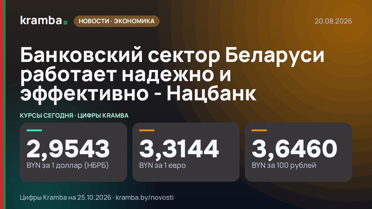 Инфографика Kramba: Банковский сектор Беларуси работает надежно и эффективно - Нацбанк