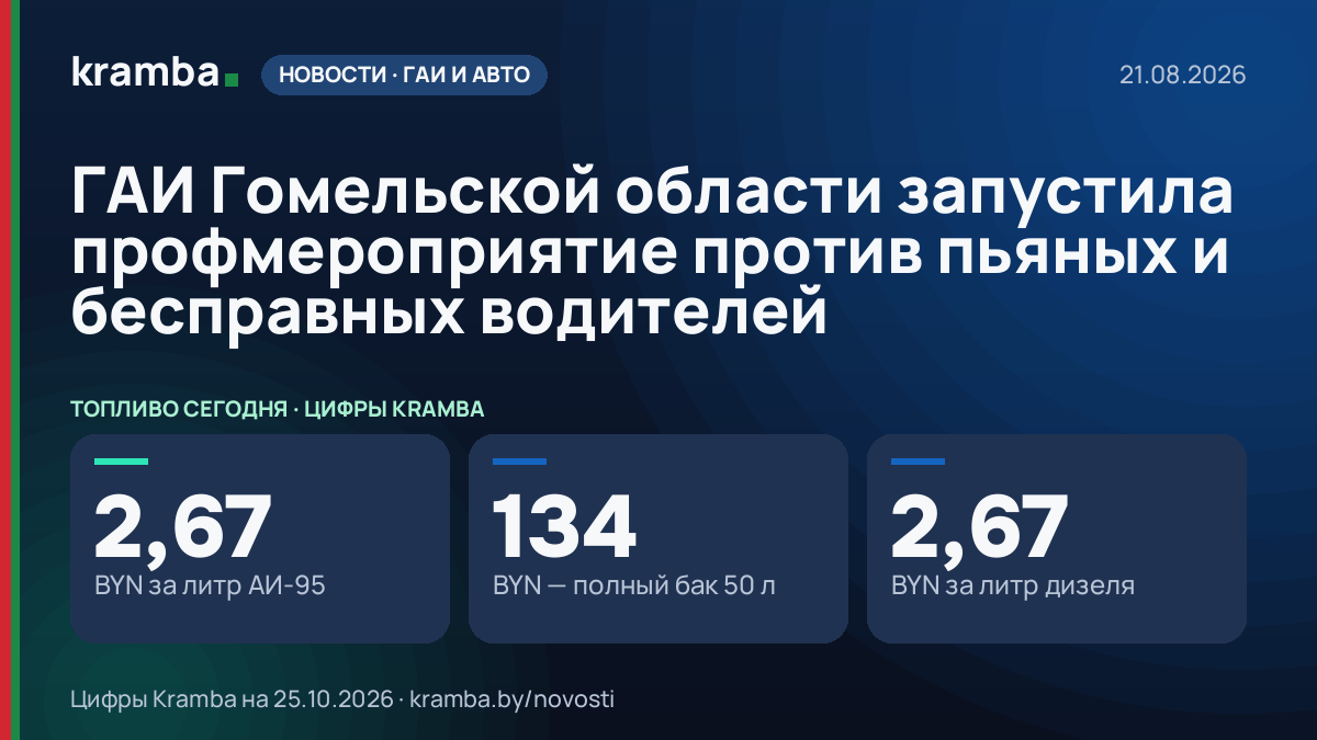 Инфографика Kramba: ГАИ Гомельской области запустила профмероприятие против пьяных и бесправных водителей