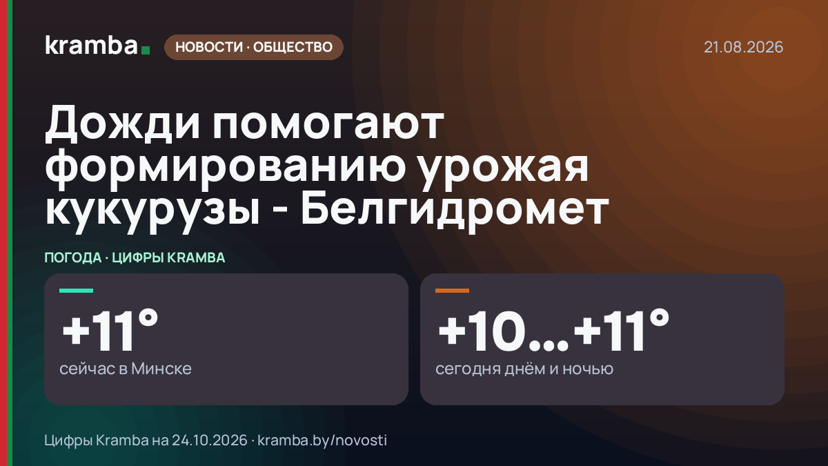Инфографика Kramba: Дожди помогают формированию урожая кукурузы - Белгидромет