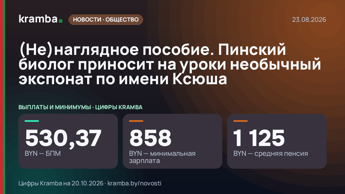 Инфографика Kramba: (Не)наглядное пособие. Пинский биолог приносит на уроки необычный экспонат по имени Ксюша