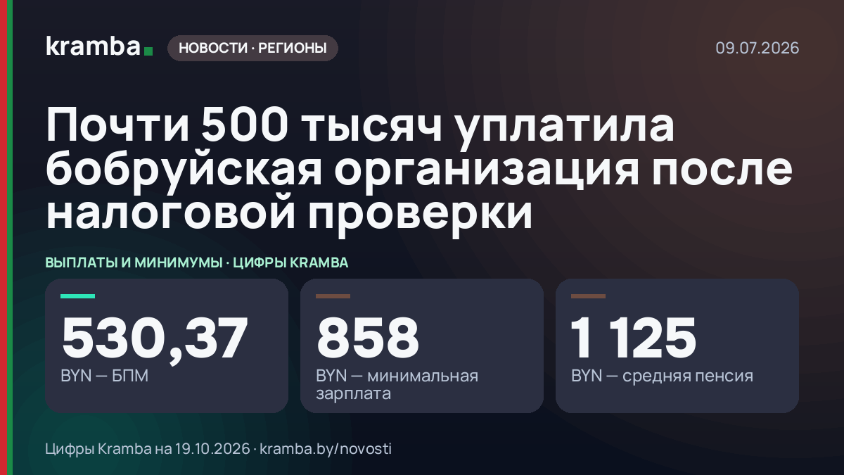 Инфографика Kramba: Почти 500 тысяч уплатила бобруйская организация после налоговой проверки