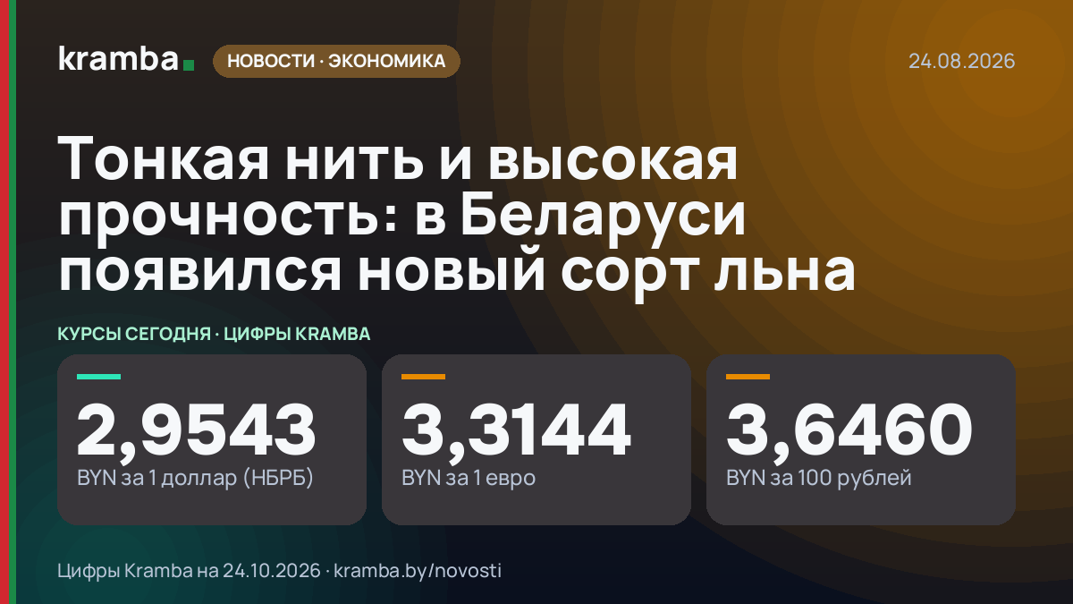 Инфографика Kramba: Тонкая нить и высокая прочность: в Беларуси появился новый сорт льна
