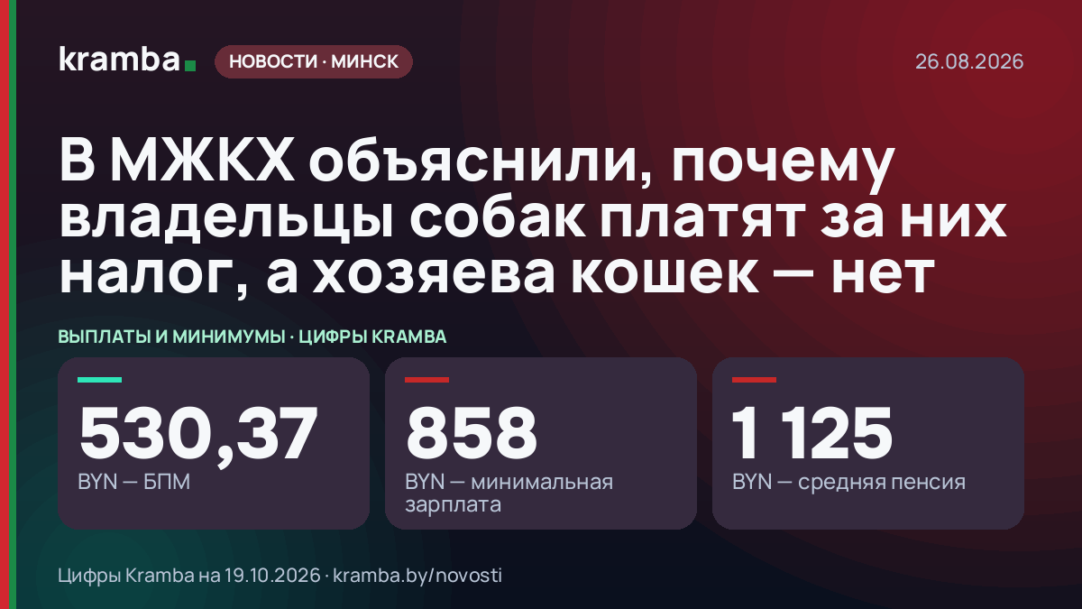Инфографика Kramba: В МЖКХ объяснили, почему владельцы собак платят за них налог, а хозяева кошек — нет