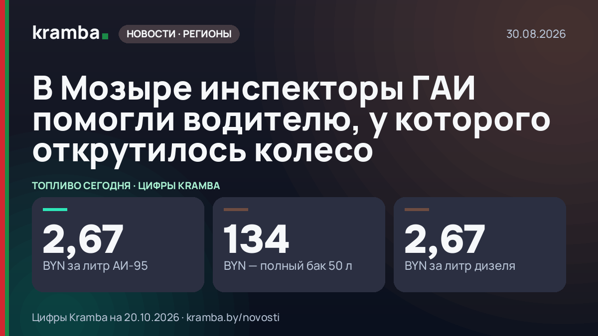 Инфографика Kramba: В Мозыре инспекторы ГАИ помогли водителю, у которого открутилось колесо