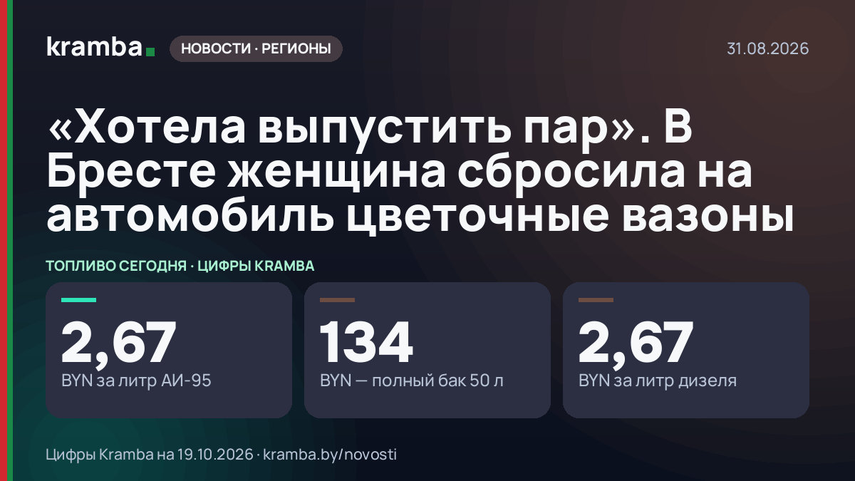 Инфографика Kramba: «Хотела выпустить пар». В Бресте женщина сбросила на автомобиль цветочные вазоны