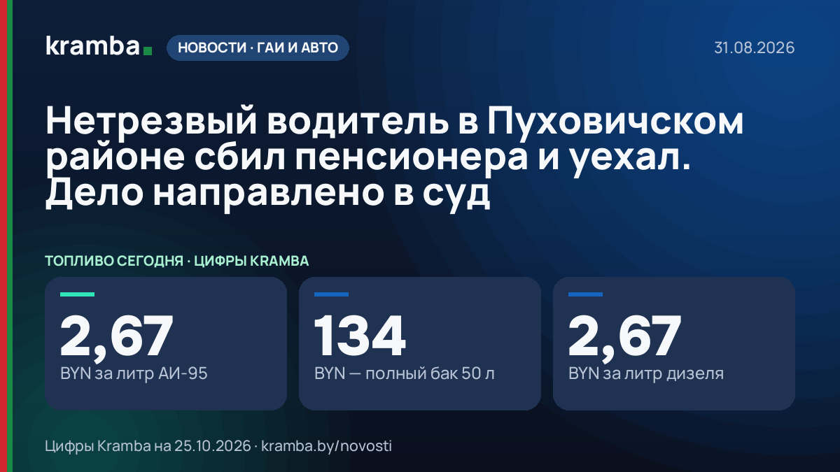 Инфографика Kramba: Нетрезвый водитель в Пуховичском районе сбил пенсионера и уехал. Дело направлено в суд