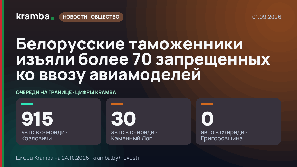 Инфографика Kramba: Белорусские таможенники изъяли более 70 запрещенных ко ввозу авиамоделей