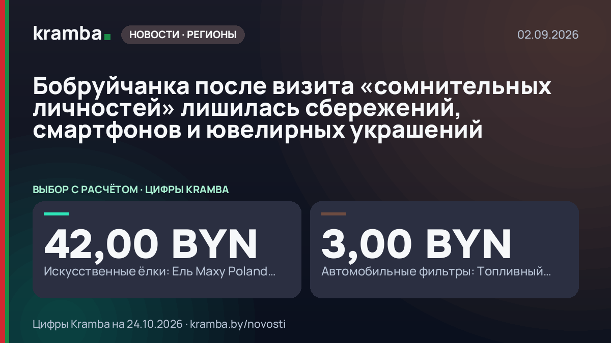 Инфографика Kramba: Бобруйчанка после визита «сомнительных личностей» лишилась сбережений, смартфонов и…