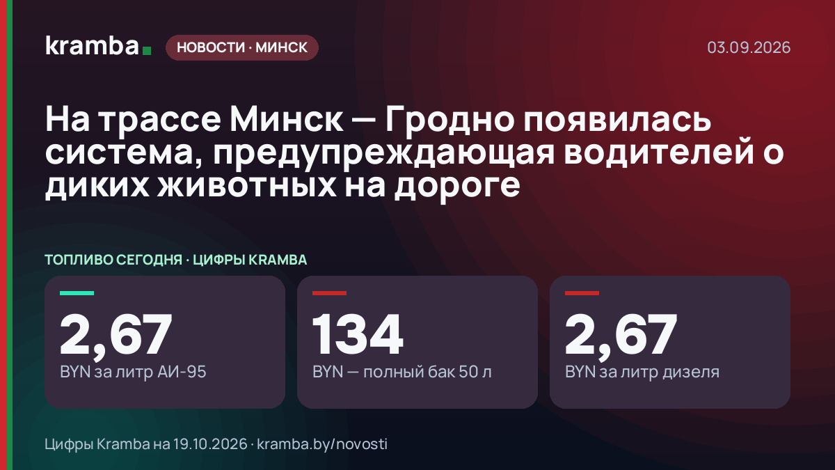 Инфографика Kramba: На трассе Минск — Гродно появилась система, предупреждающая водителей о диких животных…