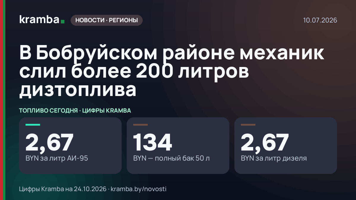Инфографика Kramba: В Бобруйском районе механик слил более 200 литров дизтоплива