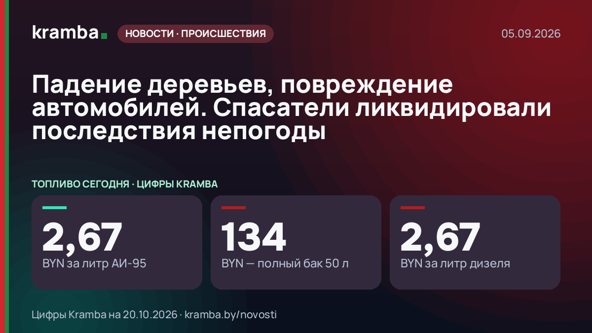 Инфографика Kramba: Падение деревьев, повреждение автомобилей. Спасатели ликвидировали последствия непогоды