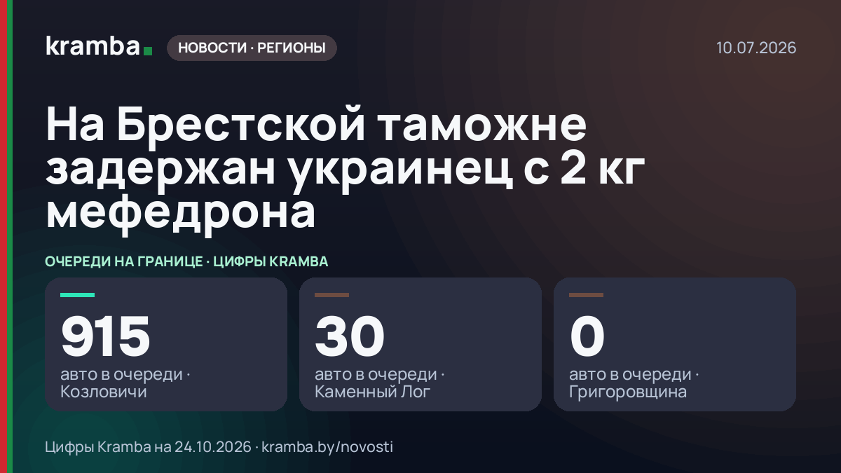 Инфографика Kramba: На Брестской таможне задержан украинец с 2 кг мефедрона