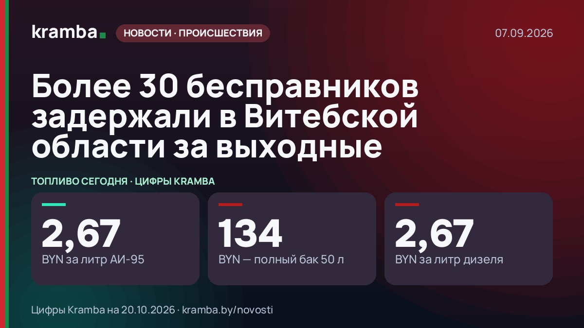 Инфографика Kramba: Более 30 бесправников задержали в Витебской области за выходные