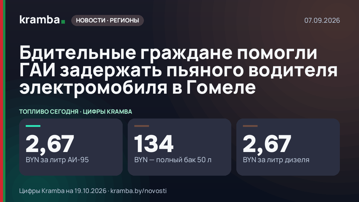 Инфографика Kramba: Бдительные граждане помогли ГАИ задержать пьяного водителя электромобиля в Гомеле