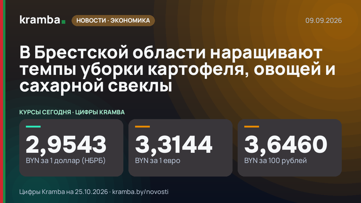 Инфографика Kramba: В Брестской области наращивают темпы уборки картофеля, овощей и сахарной свеклы