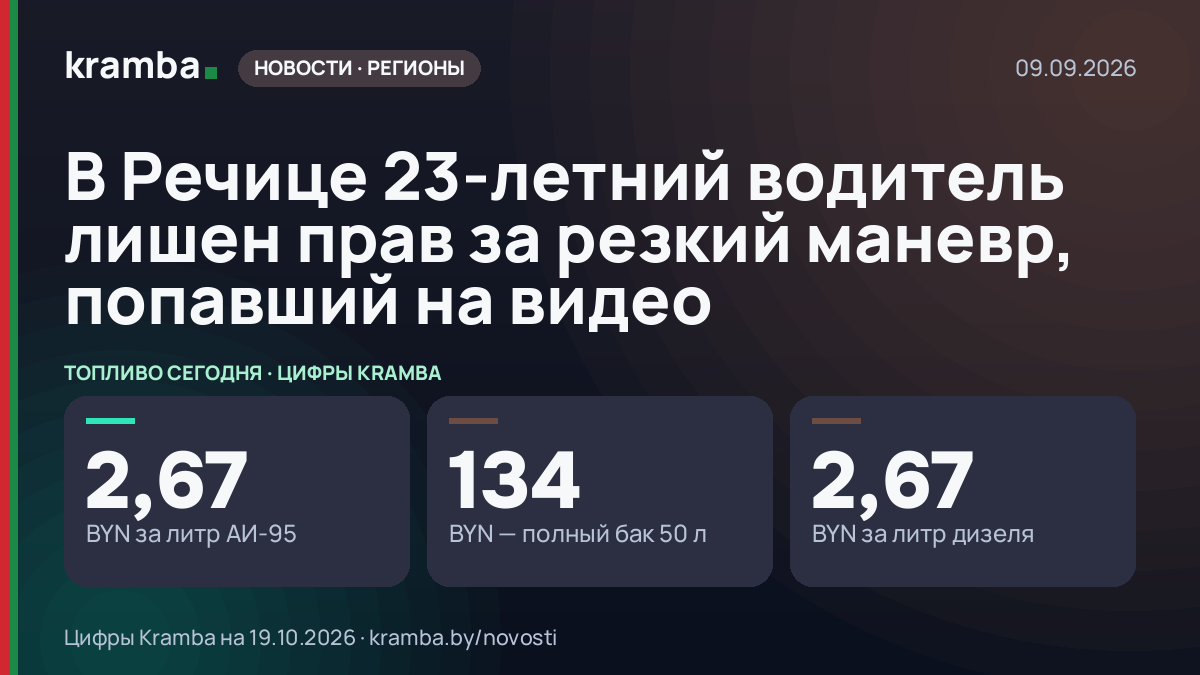 Инфографика Kramba: В Речице 23-летний водитель лишен прав за резкий маневр, попавший на видео