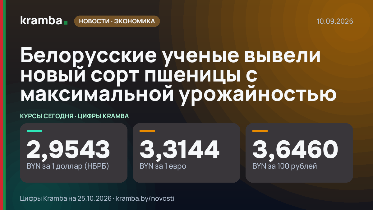 Инфографика Kramba: Белорусские ученые вывели новый сорт пшеницы с максимальной урожайностью