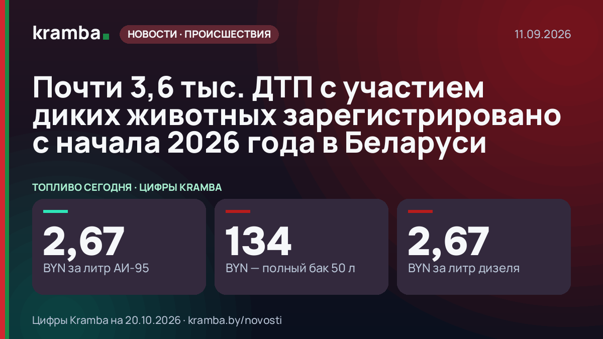 Инфографика Kramba: Почти 3,6 тыс. ДТП с участием диких животных зарегистрировано с начала 2026 года в…