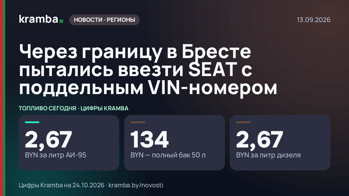 Инфографика Kramba: Через границу в Бресте пытались ввезти SEAT с поддельным VIN-номером