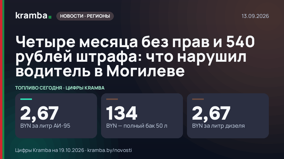 Инфографика Kramba: Четыре месяца без прав и 540 рублей штрафа: что нарушил водитель в Могилеве