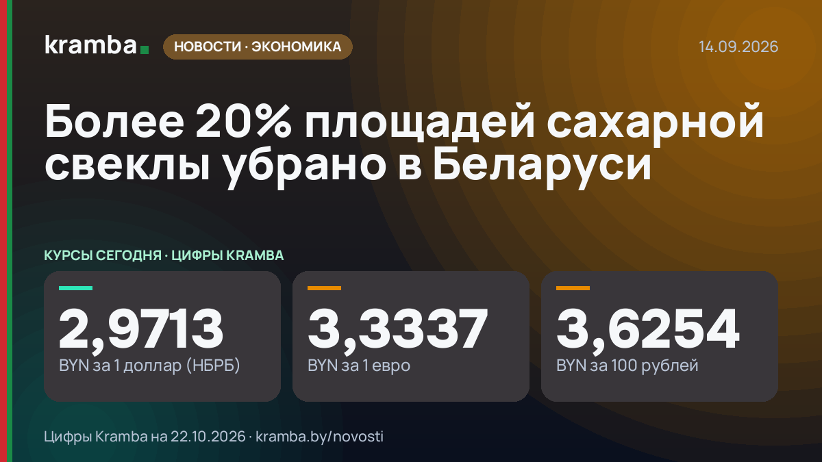 Инфографика Kramba: Более 20% площадей сахарной свеклы убрано в Беларуси