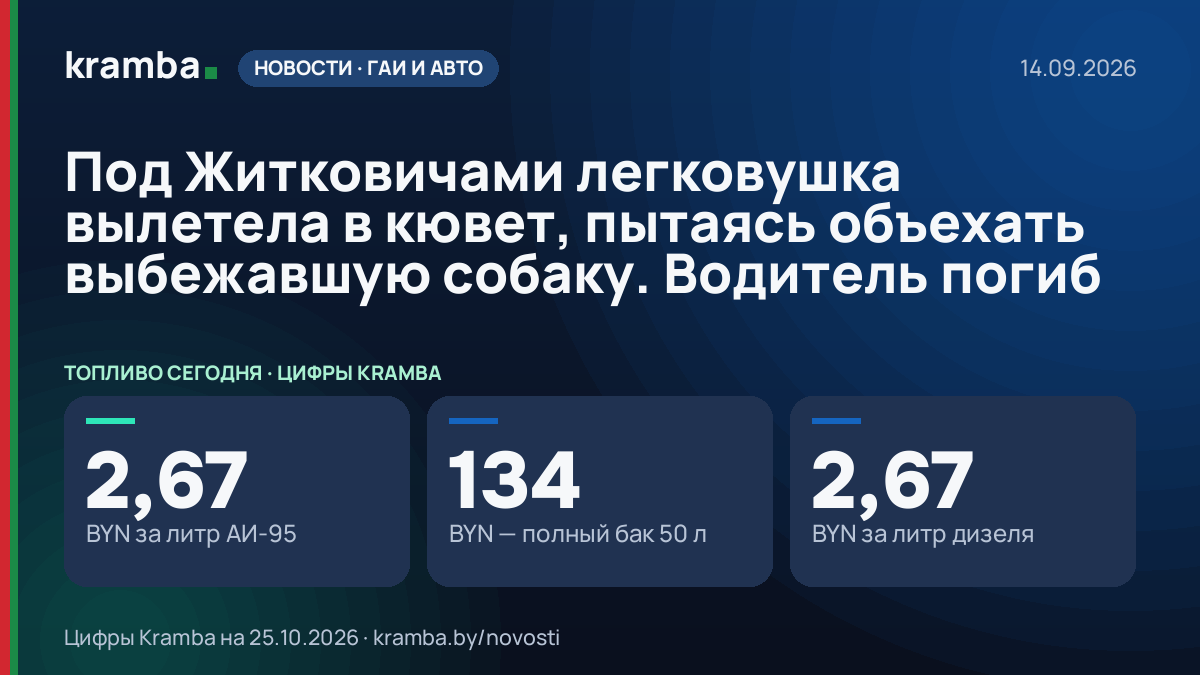 Инфографика Kramba: Под Житковичами легковушка вылетела в кювет, пытаясь объехать выбежавшую собаку.…