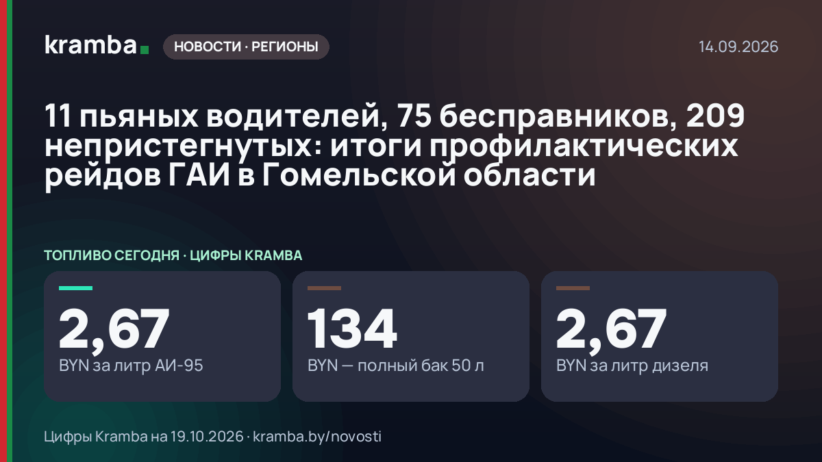 Инфографика Kramba: 11 пьяных водителей, 75 бесправников, 209 непристегнутых: итоги профилактических рейдов…