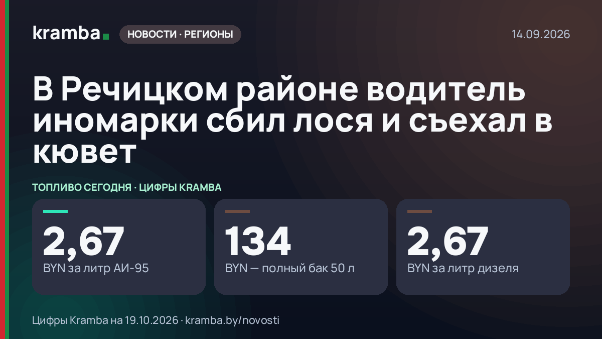 Инфографика Kramba: В Речицком районе водитель иномарки сбил лося и съехал в кювет