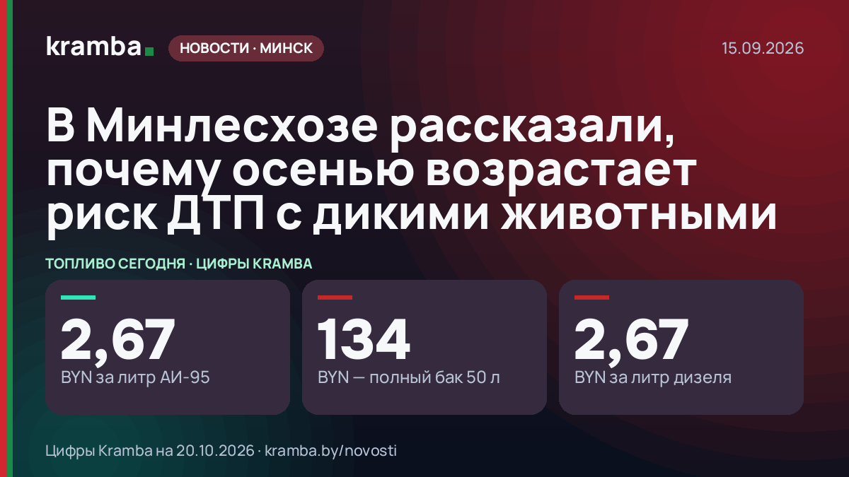 Инфографика Kramba: В Минлесхозе рассказали, почему осенью возрастает риск ДТП с дикими животными