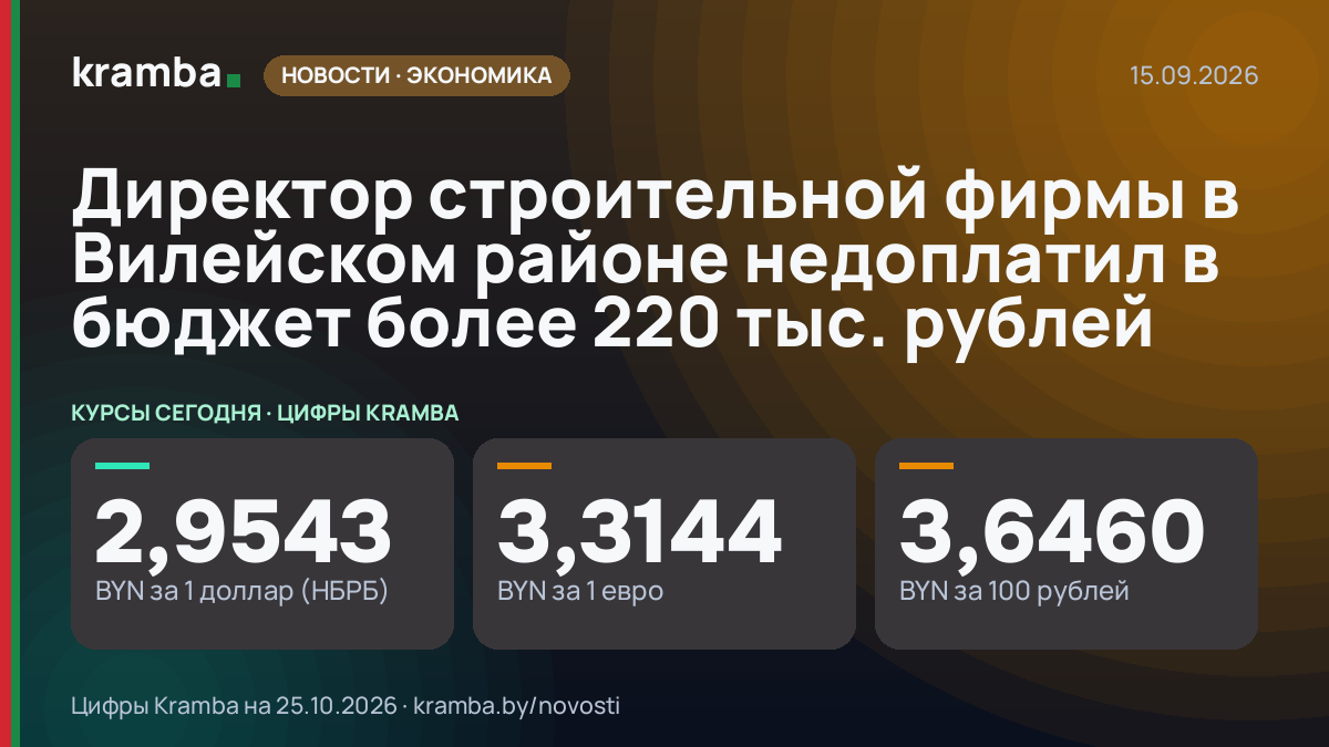 Инфографика Kramba: Директор строительной фирмы в Вилейском районе недоплатил в бюджет более 220 тыс. рублей