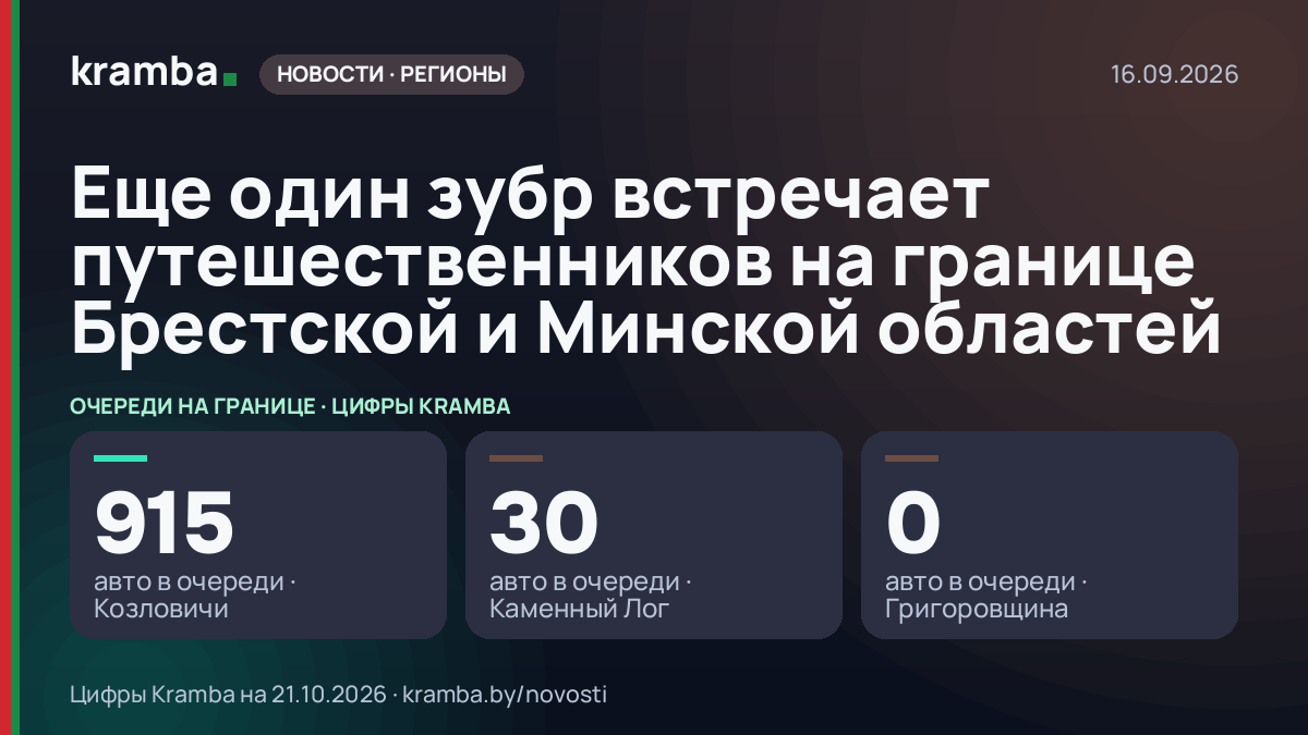 Инфографика Kramba: Еще один зубр встречает путешественников на границе Брестской и Минской областей