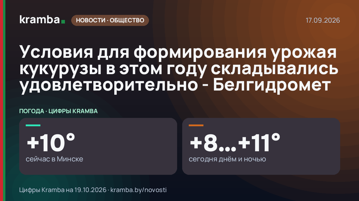 Инфографика Kramba: Условия для формирования урожая кукурузы в этом году складывались удовлетворительно…