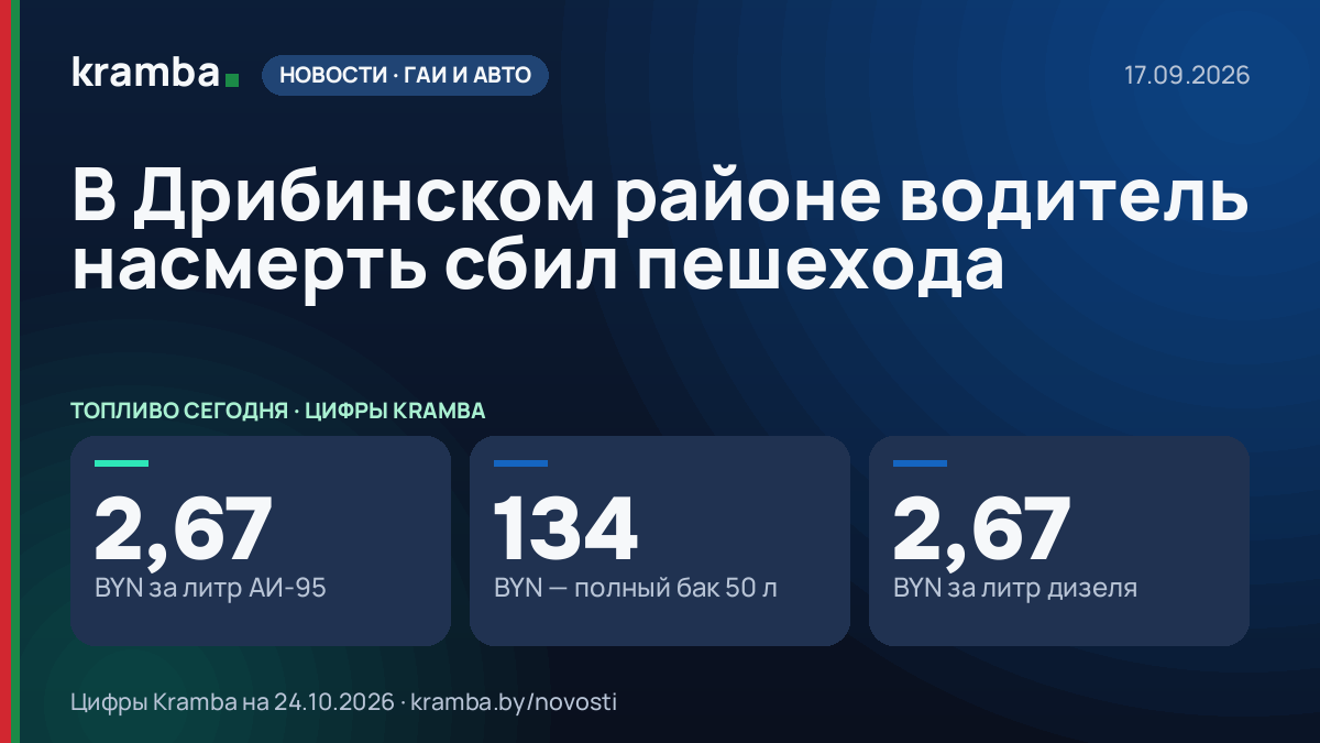 Инфографика Kramba: В Дрибинском районе водитель насмерть сбил пешехода