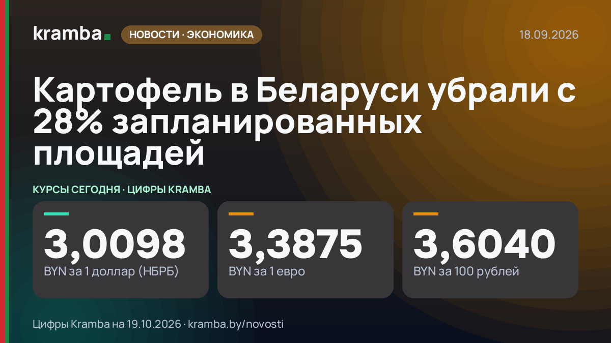 Инфографика Kramba: Картофель в Беларуси убрали с 28% запланированных площадей