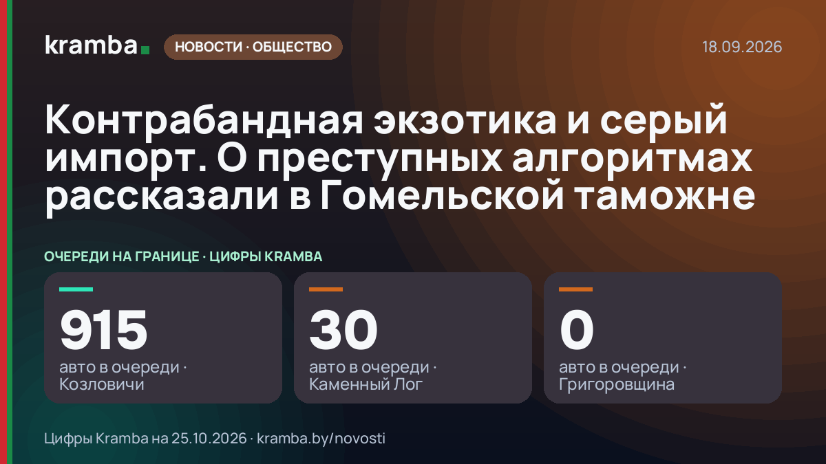 Инфографика Kramba: Контрабандная экзотика и серый импорт. О преступных алгоритмах рассказали в Гомельской…