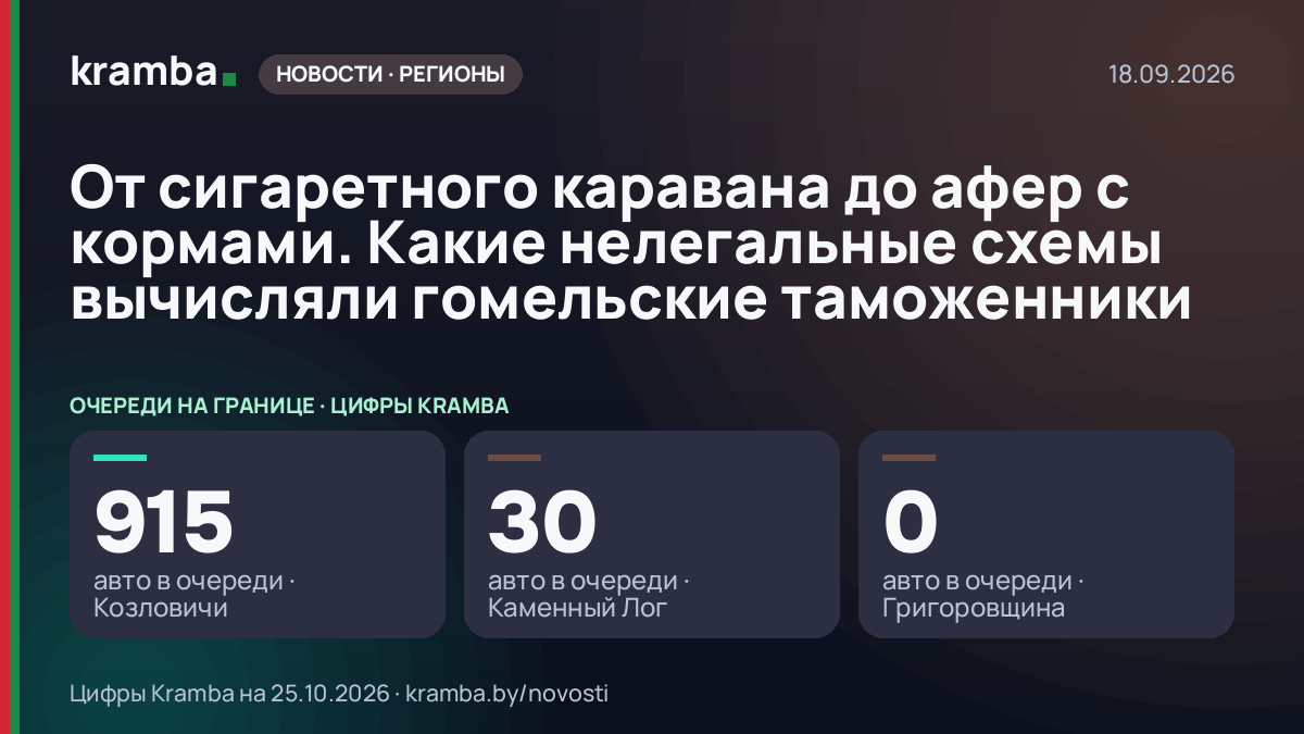 Инфографика Kramba: От сигаретного каравана до афер с кормами. Какие нелегальные схемы вычисляли гомельские…