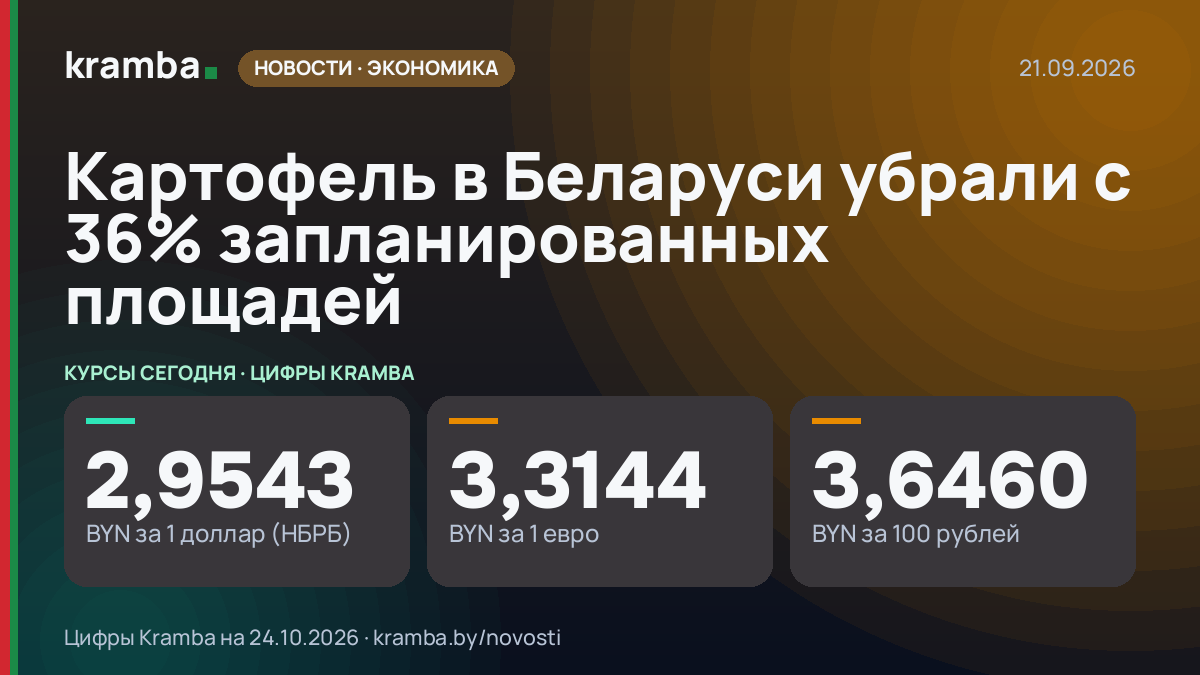 Инфографика Kramba: Картофель в Беларуси убрали с 36% запланированных площадей