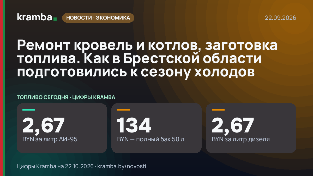 Инфографика Kramba: Ремонт кровель и котлов, заготовка топлива. Как в Брестской области подготовились к…