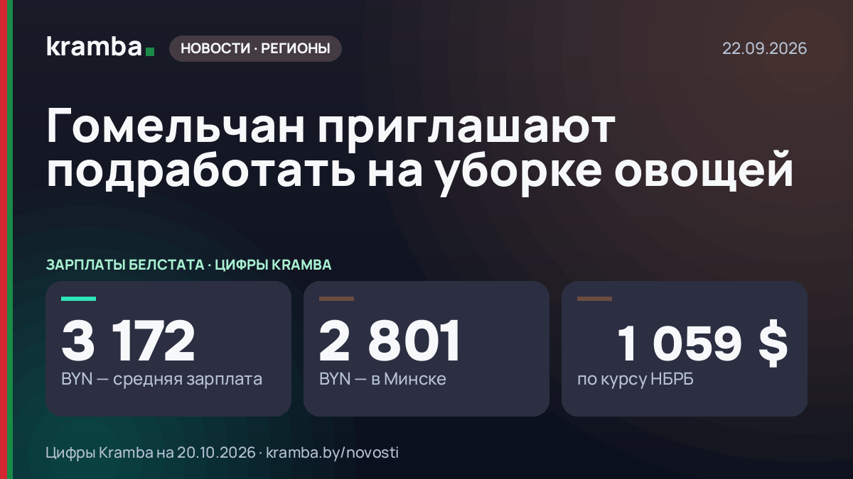 Инфографика Kramba: Гомельчан приглашают подработать на уборке овощей