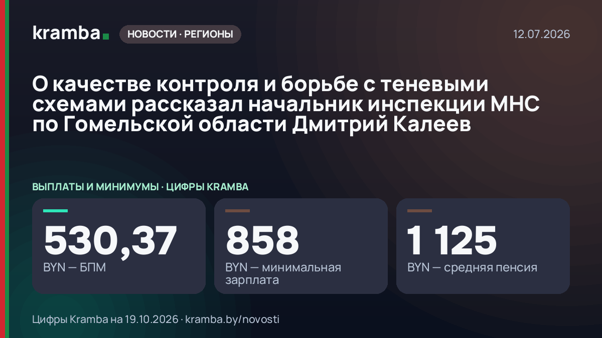 Инфографика Kramba: О качестве контроля и борьбе с теневыми схемами рассказал начальник инспекции МНС по…