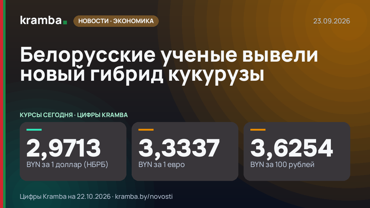 Инфографика Kramba: Белорусские ученые вывели новый гибрид кукурузы