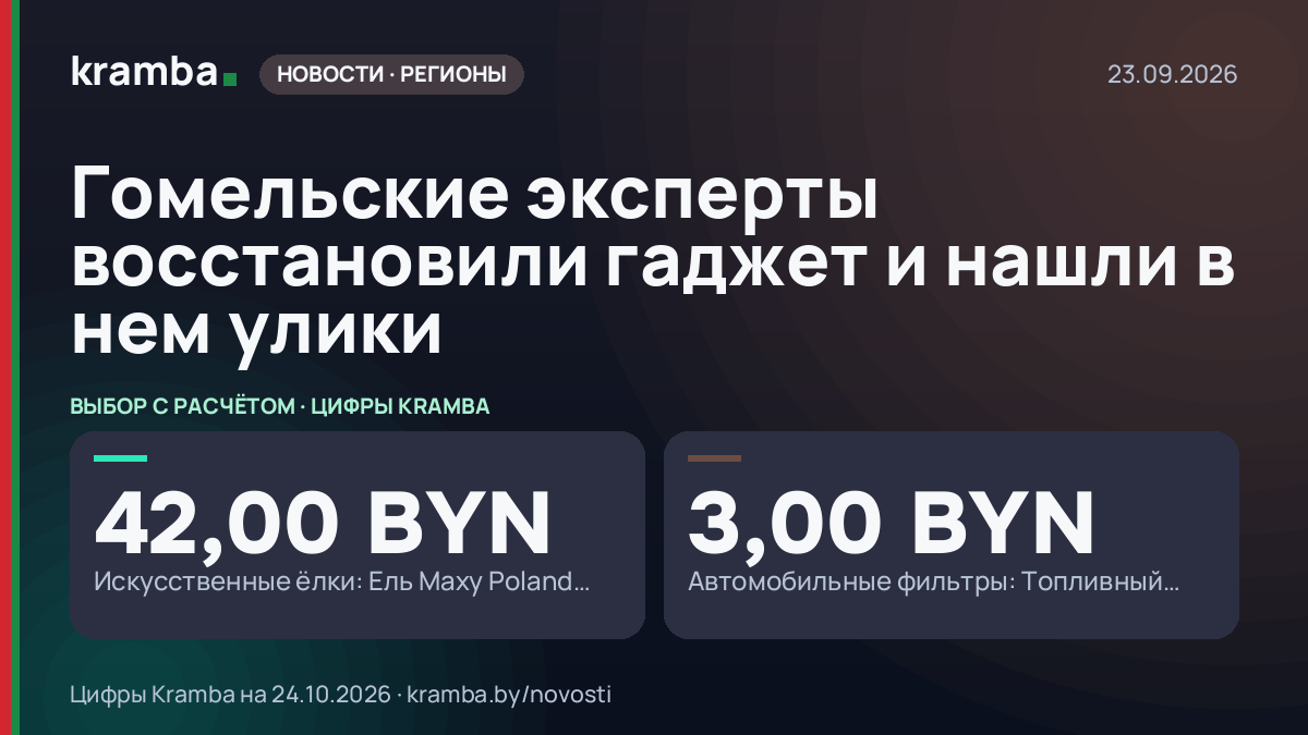 Инфографика Kramba: Гомельские эксперты восстановили гаджет и нашли в нем улики