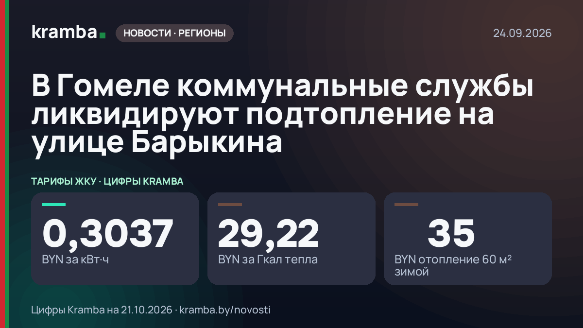 Инфографика Kramba: В Гомеле коммунальные службы ликвидируют подтопление на улице Барыкина