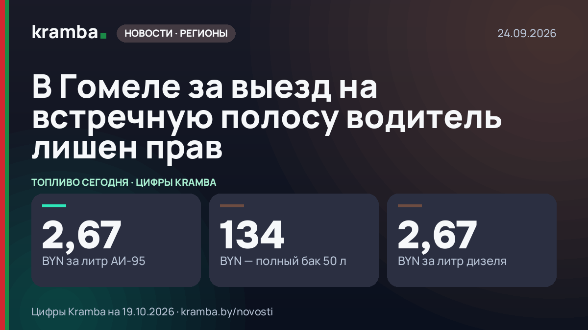 Инфографика Kramba: В Гомеле за выезд на встречную полосу водитель лишен прав