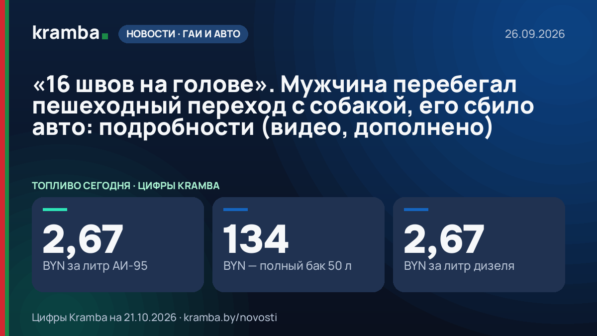 Инфографика Kramba: «16 швов на голове». Мужчина перебегал пешеходный переход с собакой, его сбило авто…