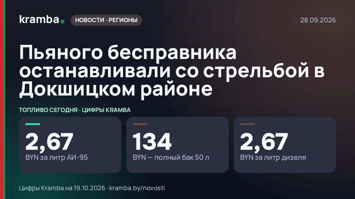 Инфографика Kramba: Пьяного бесправника останавливали со стрельбой в Докшицком районе